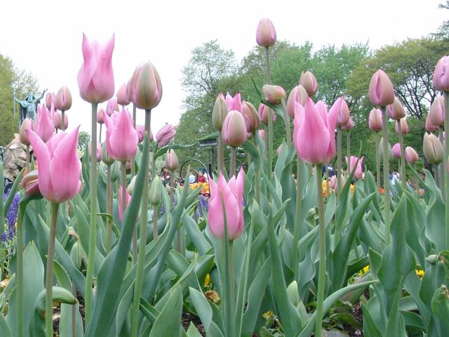 _640x480_040509s5009a.jpg