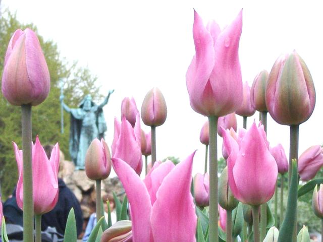 _640x480_040509s5010a.jpg