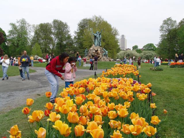 _640x480_040509s5012b.jpg
