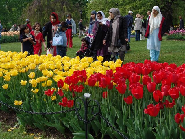 _640x480_040509s5021.JPG