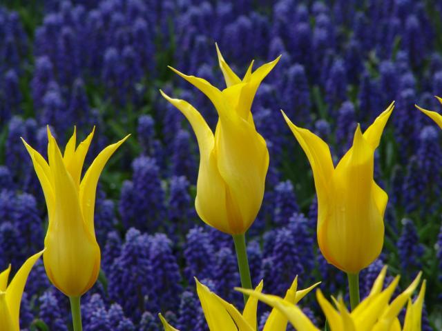 _640x480_040509s5023c.jpg