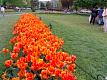 _880x660_040509s5013blevelscolorcast.jpg