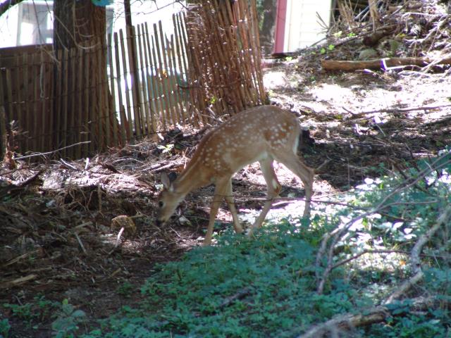 640x480_050910s0695.JPG