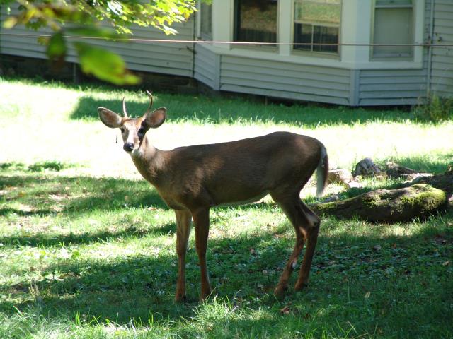 640x480_050910s0701.JPG