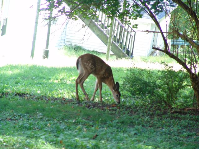640x480_050910s0703.JPG