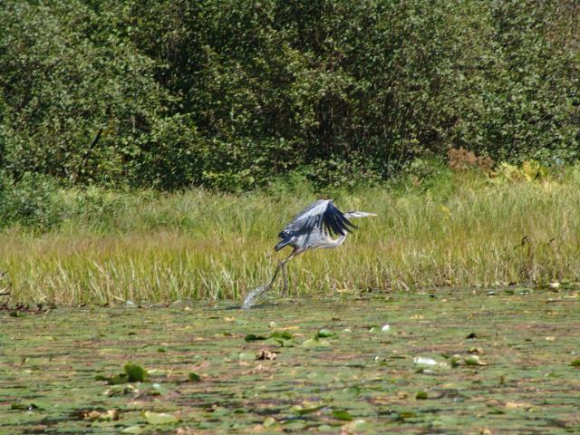 640x480_050911s0714.JPG