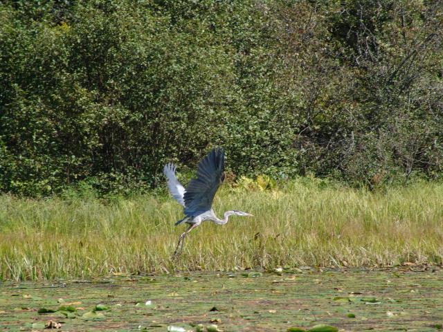 640x480_050911s0715.JPG