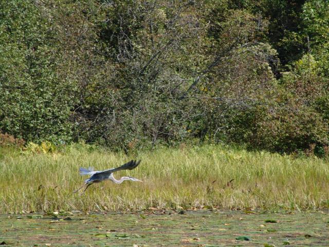640x480_050911s0716.JPG