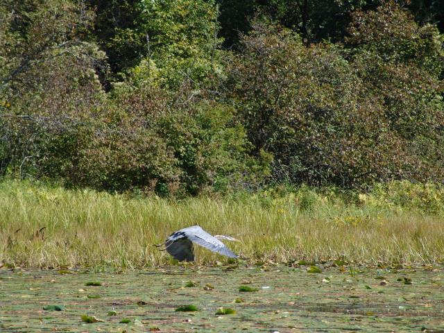 640x480_050911s0718.JPG