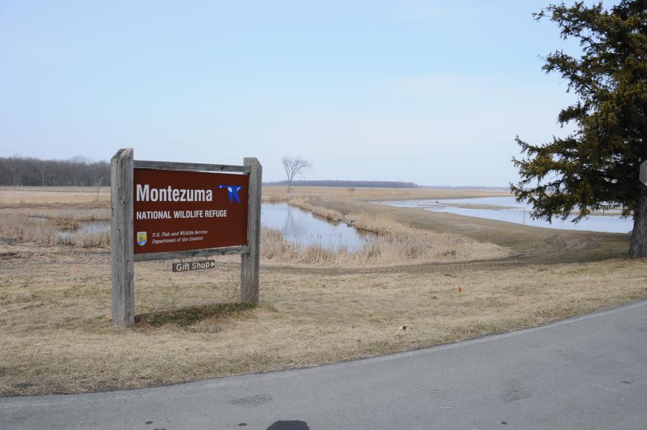 20080327w0676MontezumaWildlifeRefuge.JPG