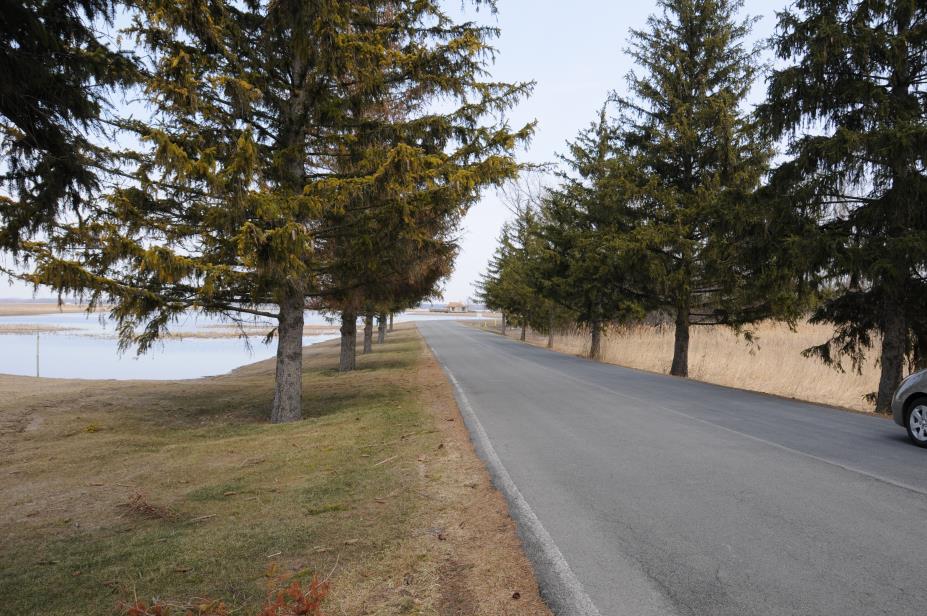 20080327w0677.JPG