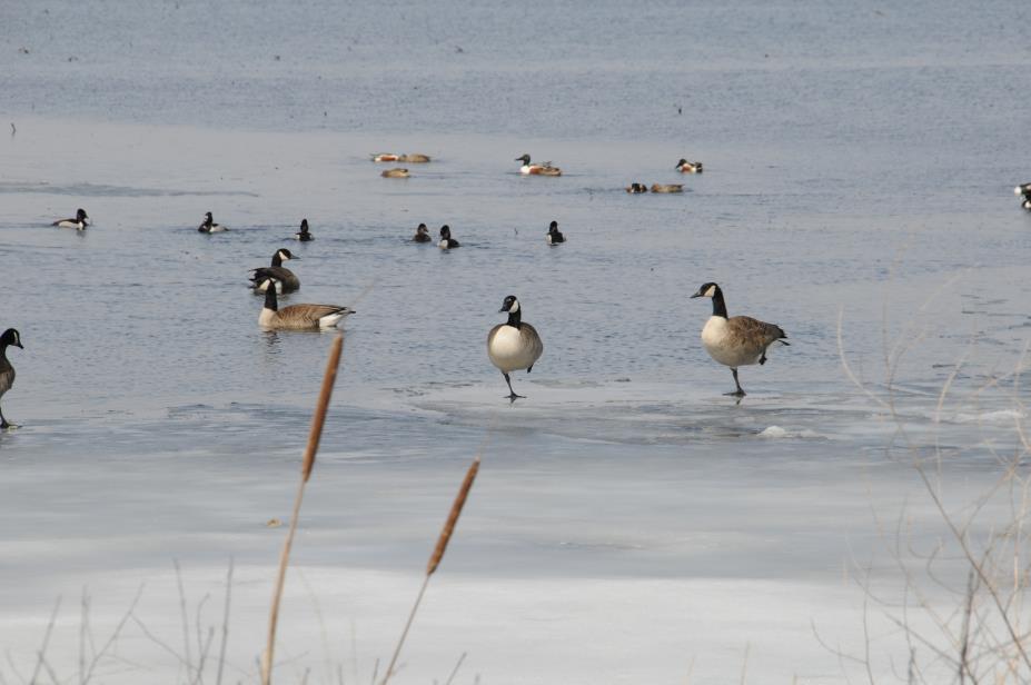 20080327w0691.JPG