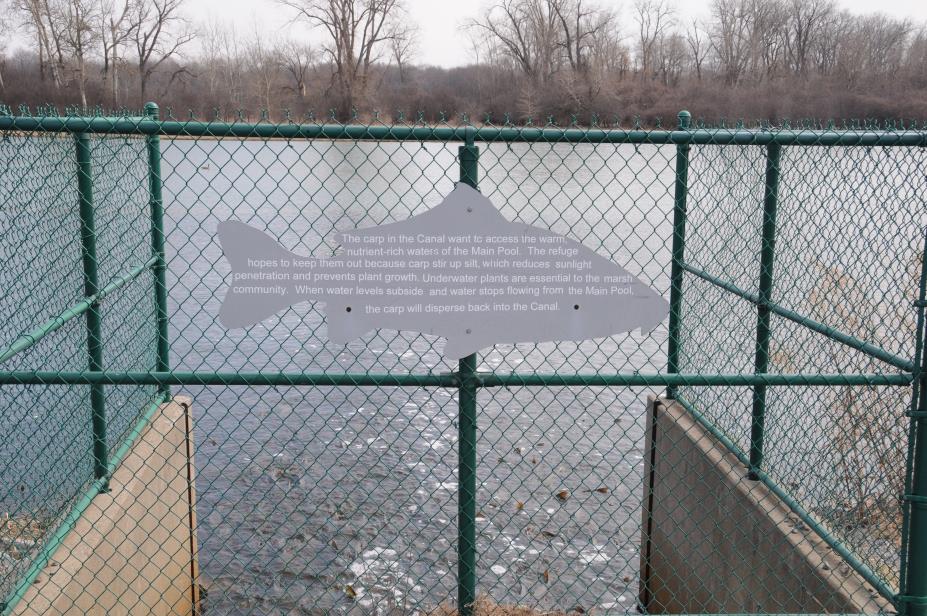 20080327w0692.JPG