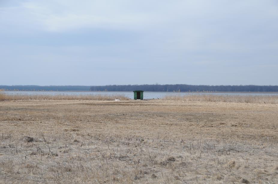 20080327w0701.JPG