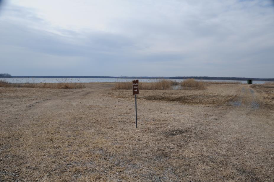 20080327w0703.JPG