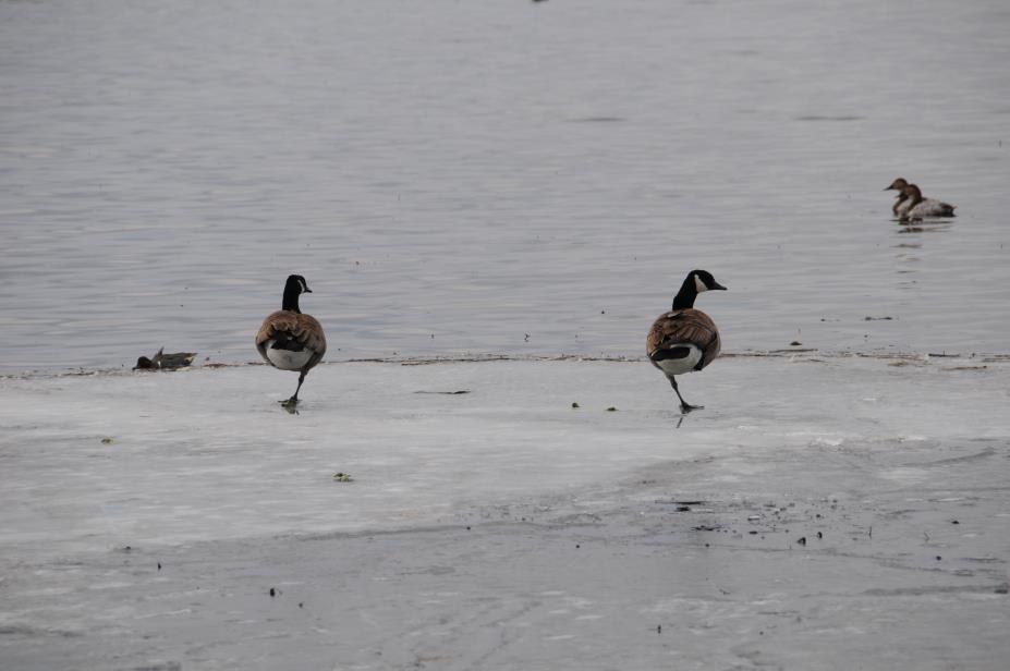 20080327w0706.JPG