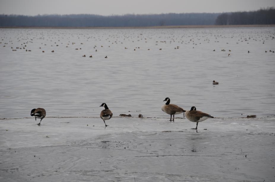 20080327w0708.JPG