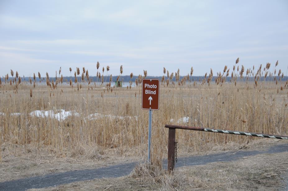20080327w0709.JPG