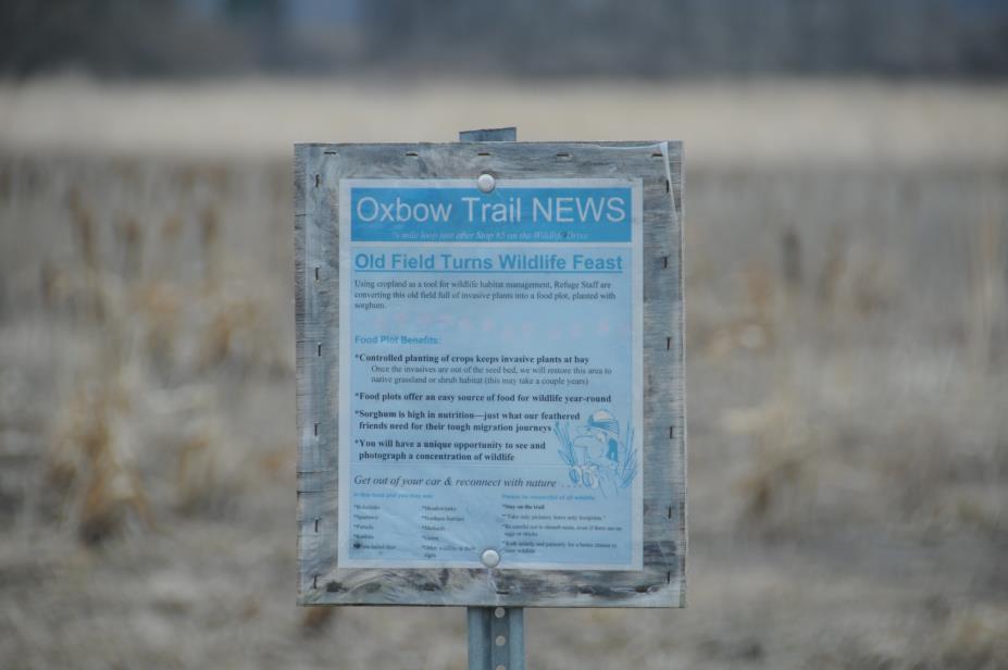 20080327w0710.JPG