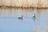 20080327w0681.jpg