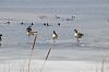 20080327w0691.jpg