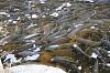 20080327w0698.jpg