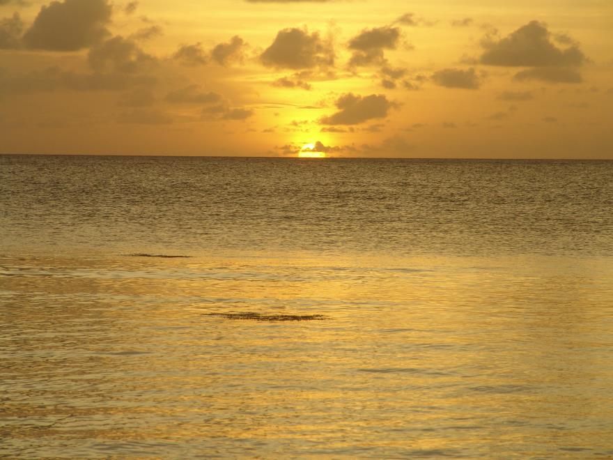 880x660_050308063.JPG