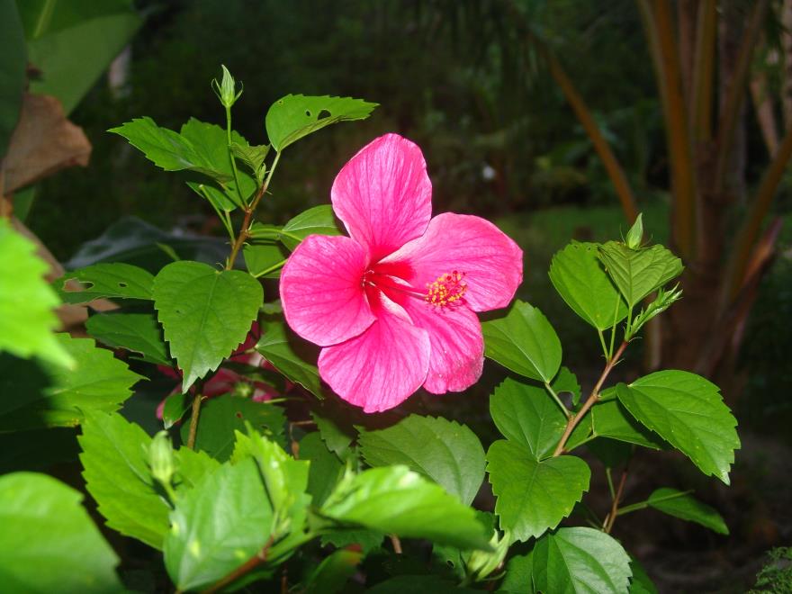 880x660_050308064.JPG
