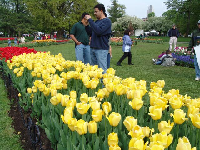 _640x480_040509s5017.JPG