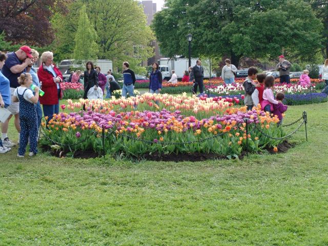 _640x480_040509s5020.JPG