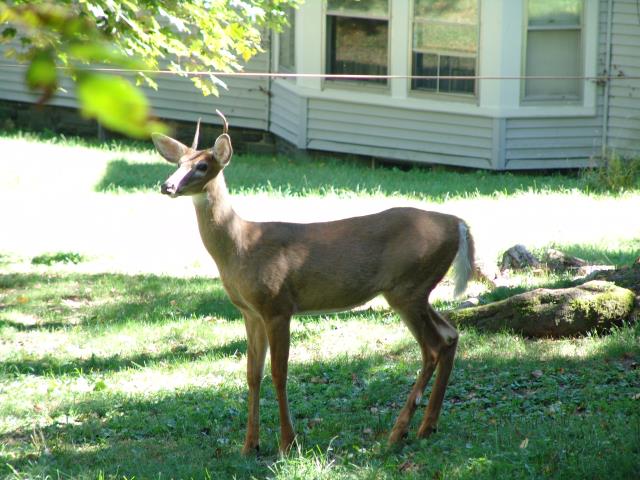 640x480_050910s0699.JPG