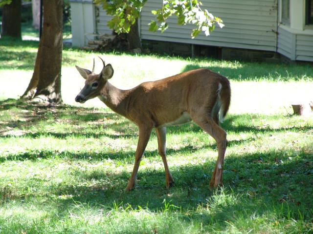 640x480_050910s0705.JPG